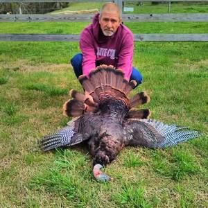 Meet your Posher, Arnold